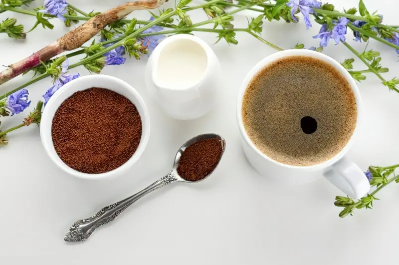 Заміна кави: чим корисний цикорій 10